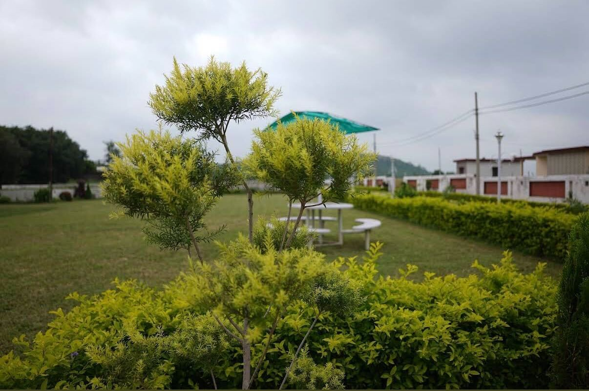 Lush gardens at the resort